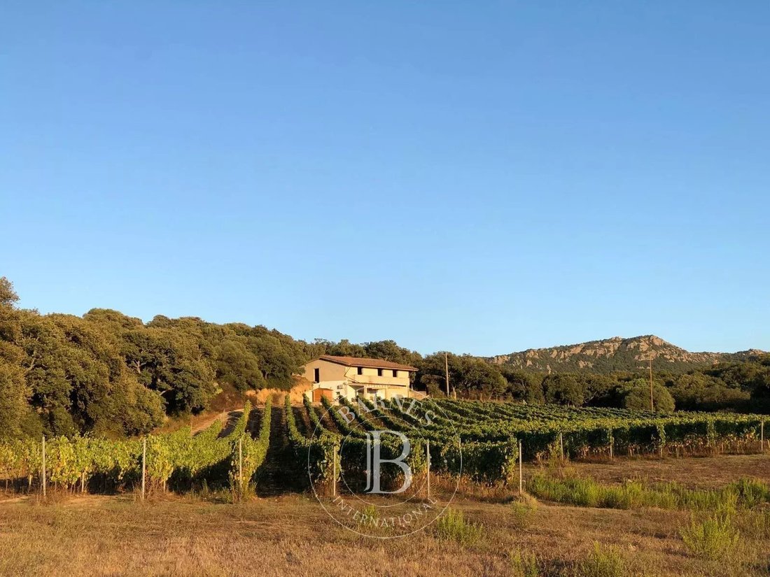 Villa à Monti, Sardaigne, Italie 1 - 18100906