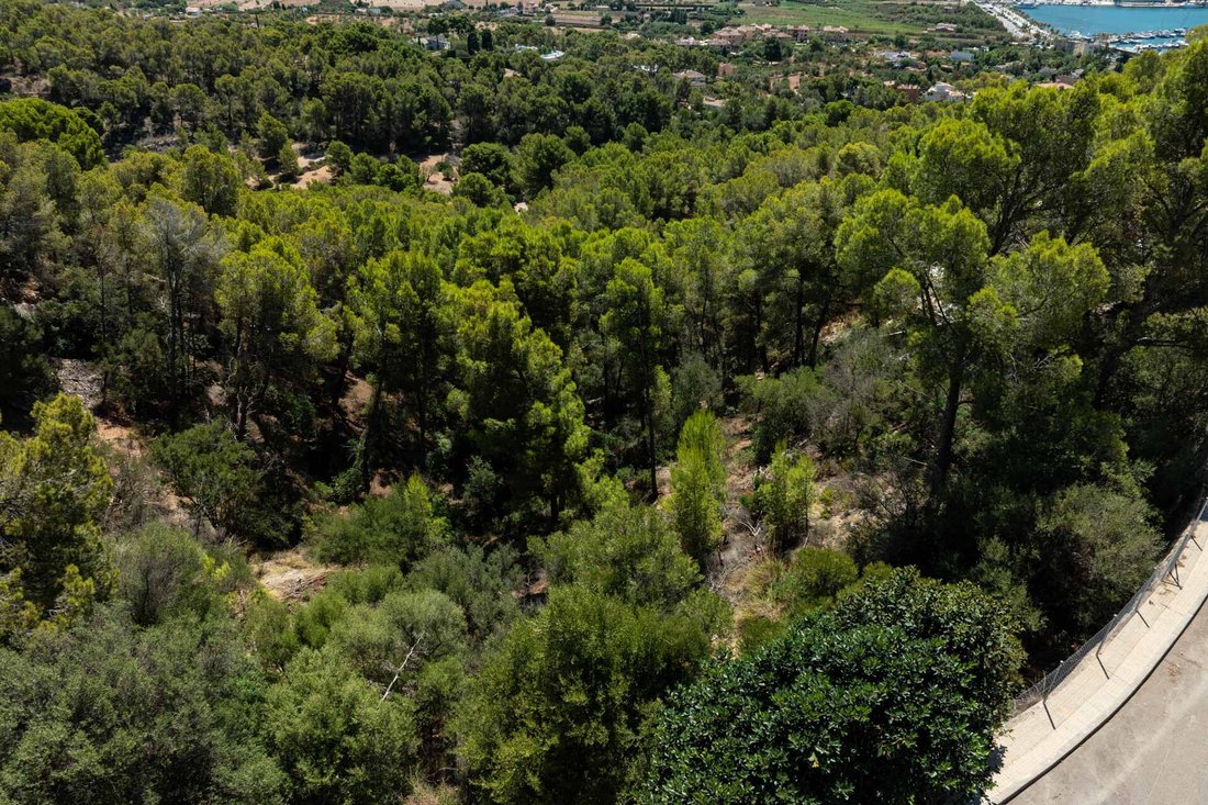 Land in Port d'Andratx, Andratx, Balearic Islands 3 - 18093243