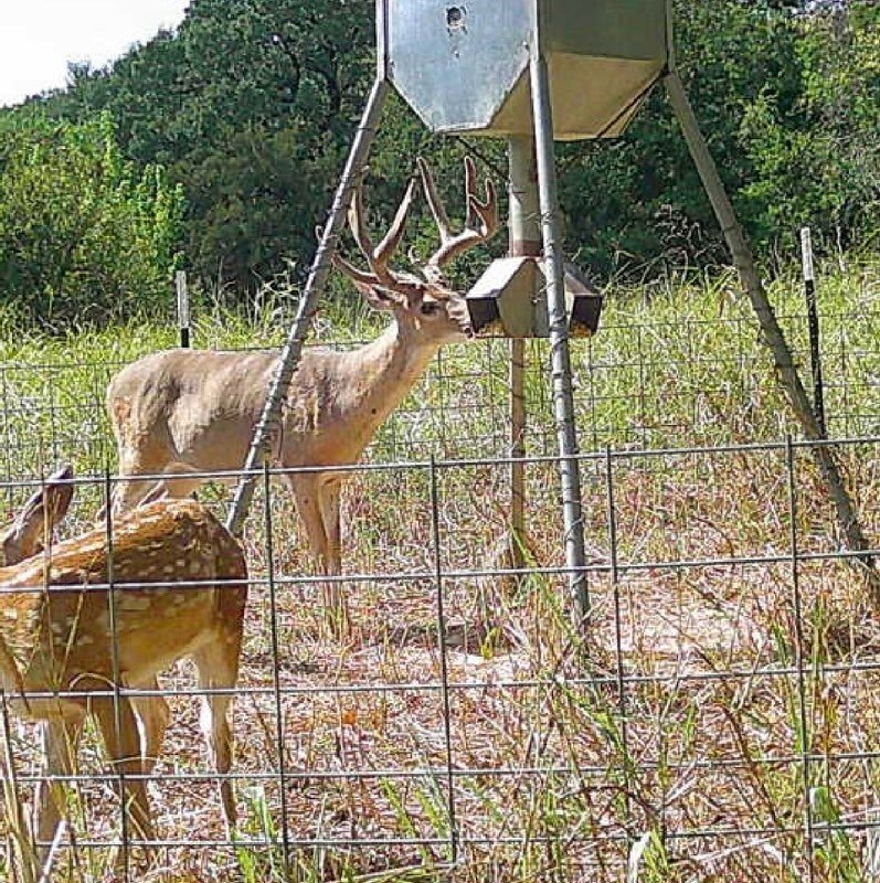 Land in Sherman, Texas, United States 2 - 18056012