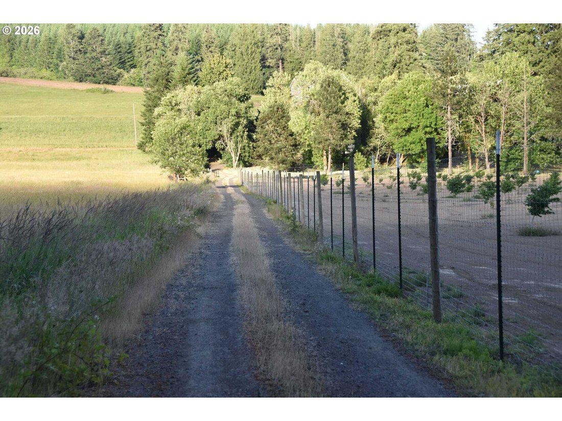 House in North Plains, Oregon, United States 5 - 18098607