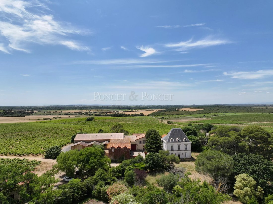 Farm Ranch in Cooperative, Agde, France 1 - 17132394