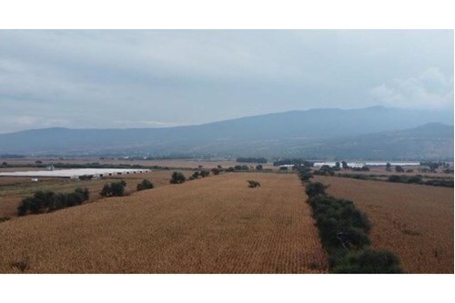 Land in Tlajomulco de Zúñiga, Jalisco, Mexico 5 - 18095783