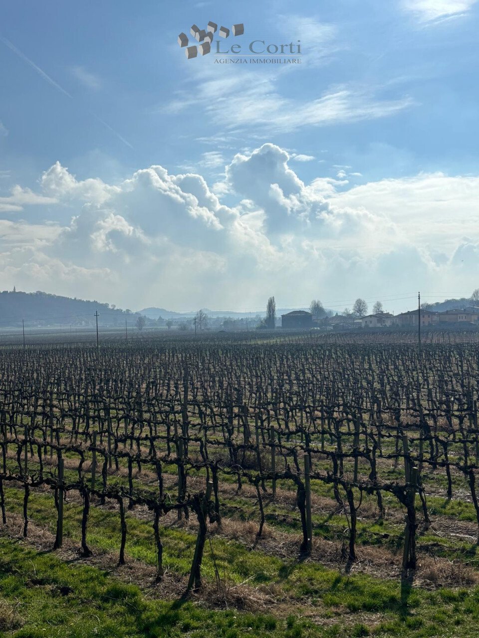 Farm Ranch in Barbarano Vicentino, Veneto, Italy 4 - 18096770