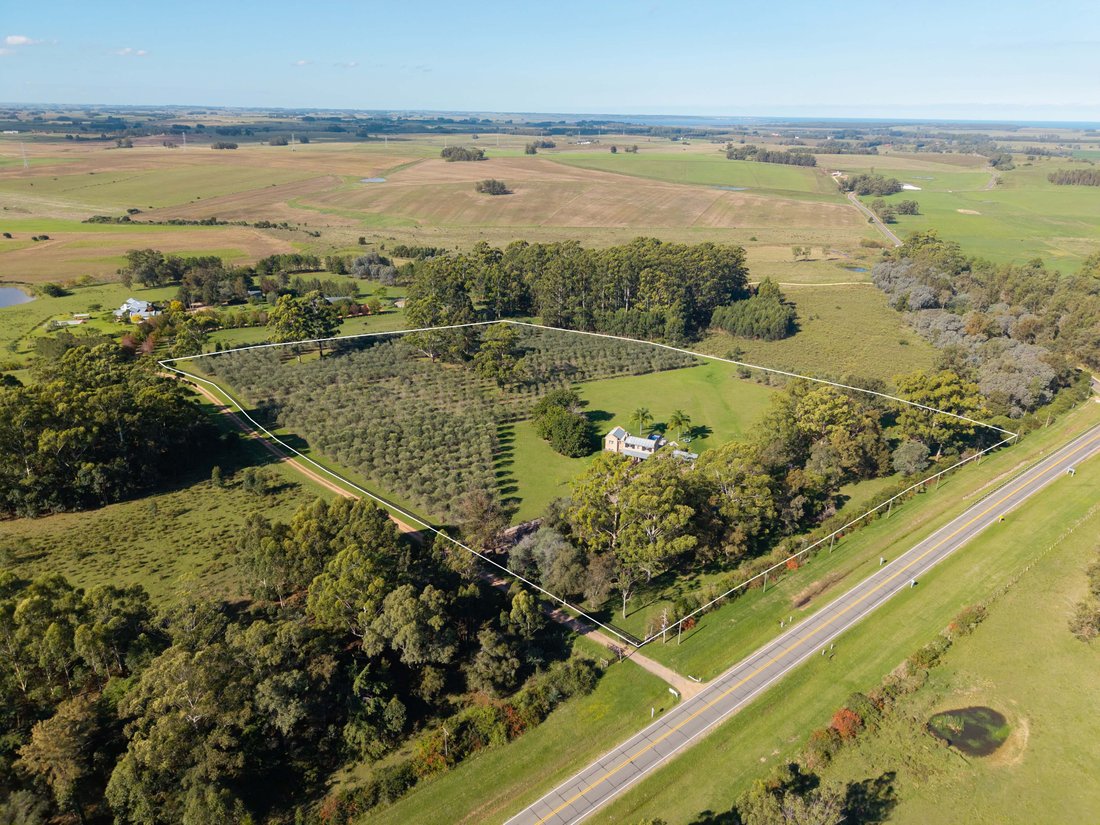 Country House in San Carlos, Maldonado Department, Uruguay 2 - 18096655