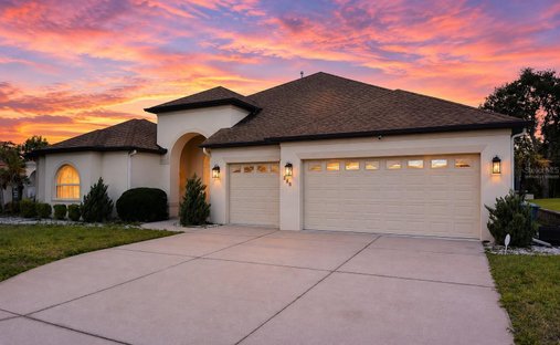 House in Spring Hill, Florida, United States 1