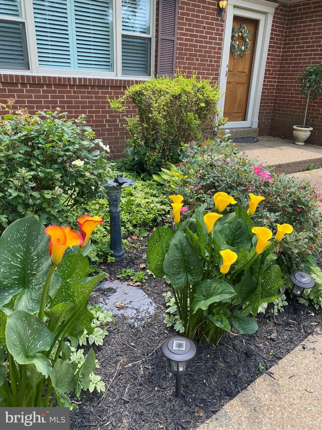 Casa en Alexandria, Virginia, Estados Unidos 4 - 18101718
