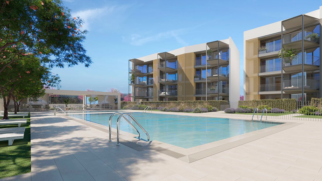 Apartment in Calvia, Balearic Islands, Spain 4 - 18093070