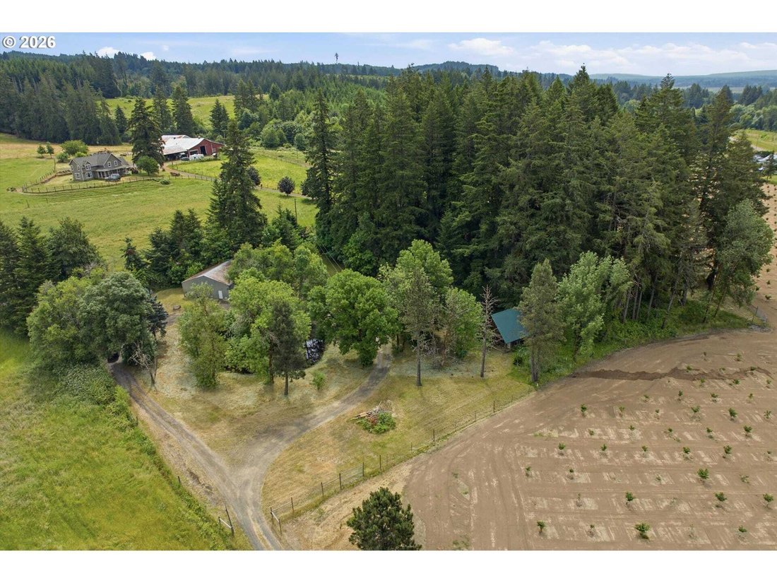 House in North Plains, Oregon, United States 3 - 18098607