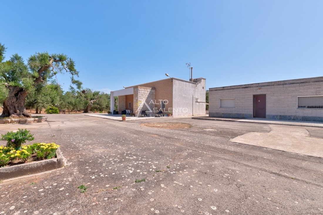 Country House in Carovigno, Apulia, Italy 5 - 18091459
