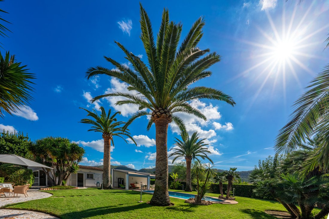 Finca a Port d'Andratx, Andratx, Isole Baleari 4 - 18093358