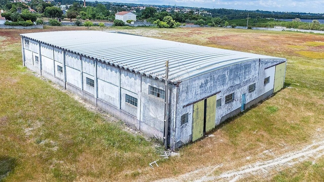 Farm Ranch in by one point, Santarem District, Portugal 3 - 18099091
