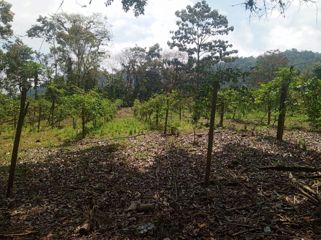Land in Cumanda, Chimborazo, Ecuador 5 - 18093107