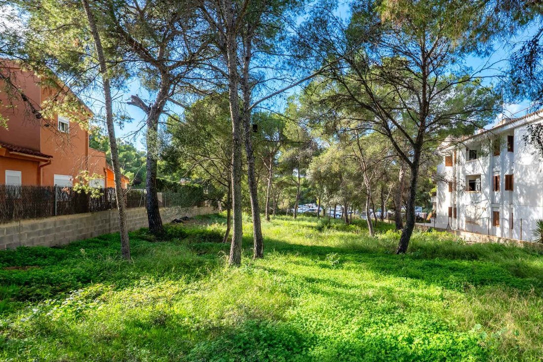 Land in Santa Ponsa, Balearic Islands, Spain 1 - 18093373