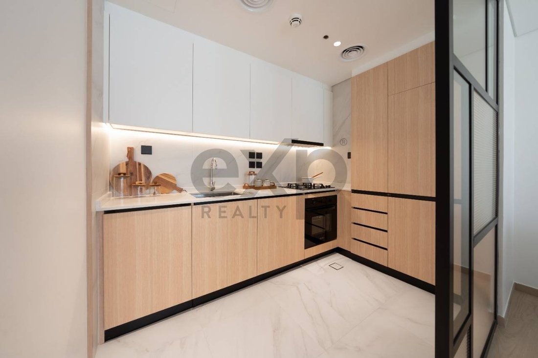Apartment in Downtown Dubai, Dubai, United Arab Emirates 1 - 18101474