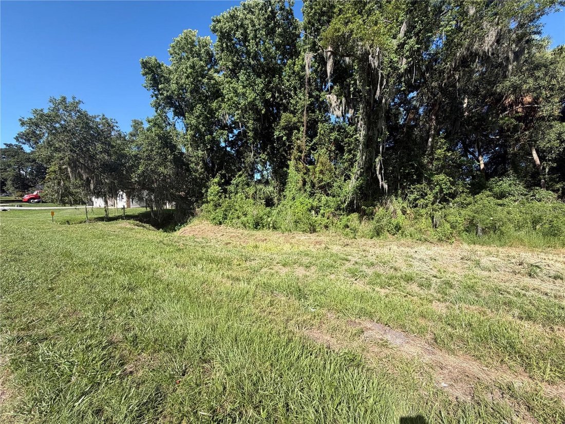 Land in Lakeland, Florida, United States 2 - 18092263