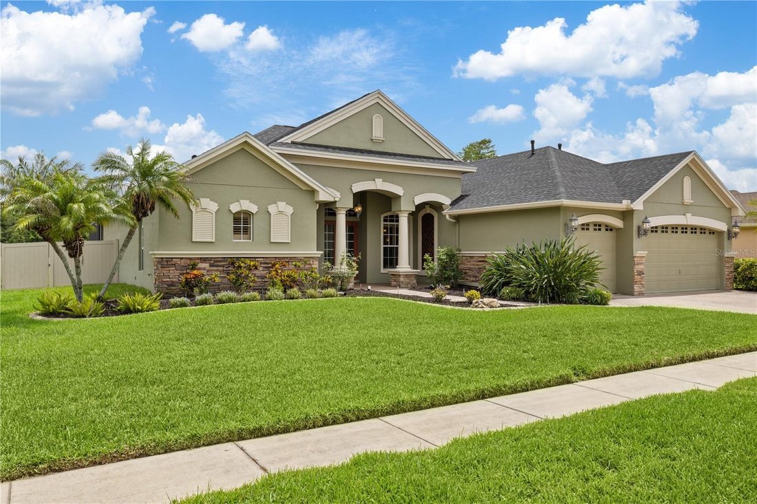 House in Land O' Lakes, Florida, United States 2 - 17181157