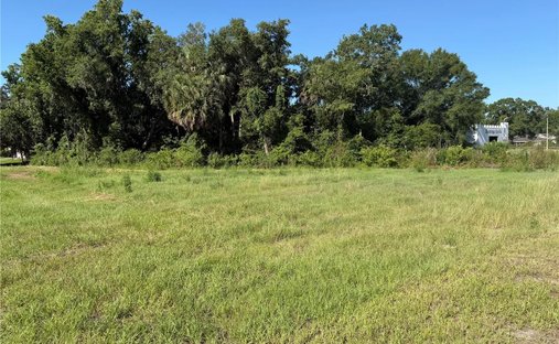 Land in Lakeland, Florida, United States 1
