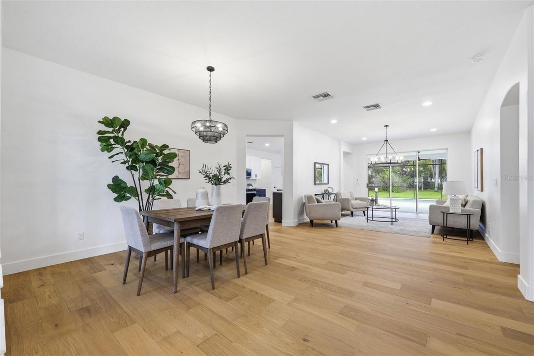 House in Tampa, Florida, United States 4 - 18095503