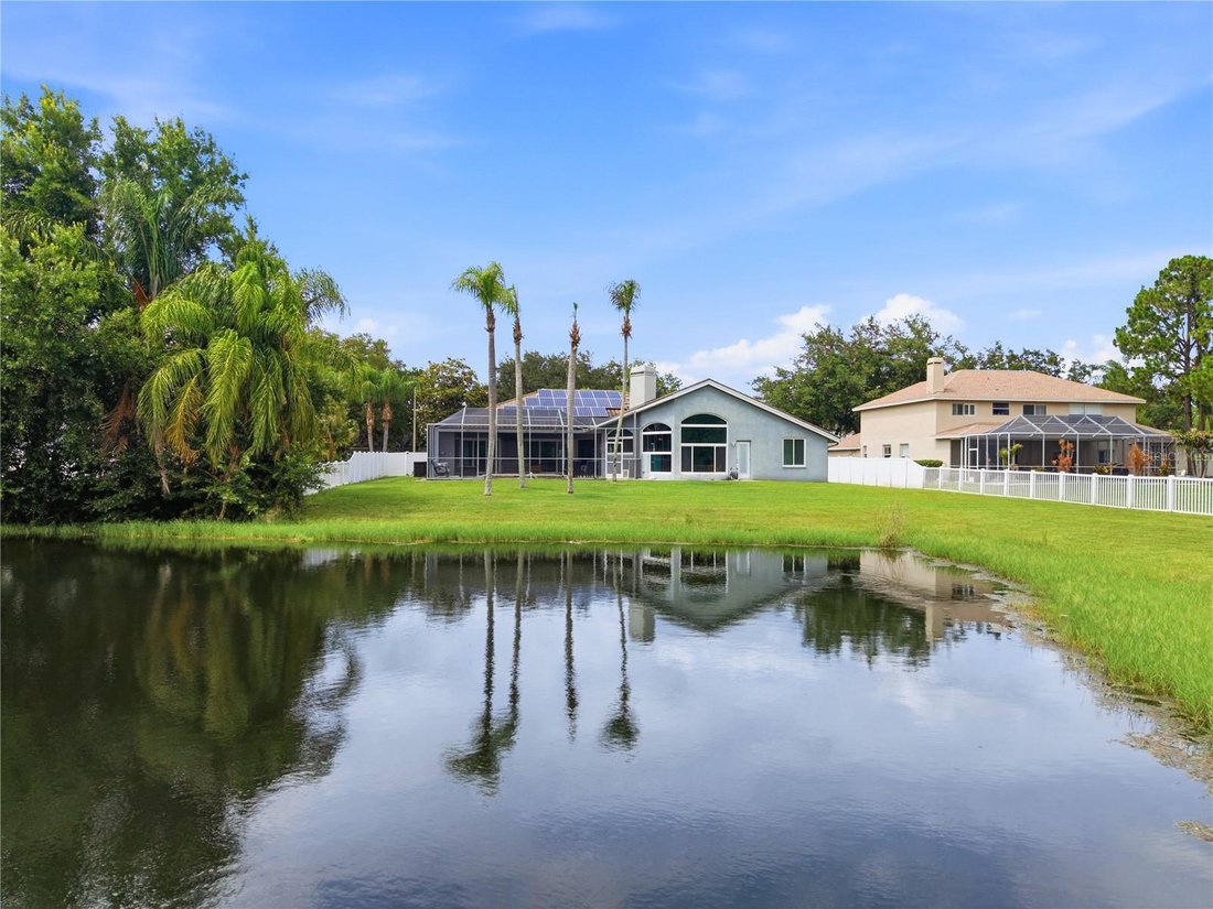 House in Odessa, Florida, United States 5 - 18100741