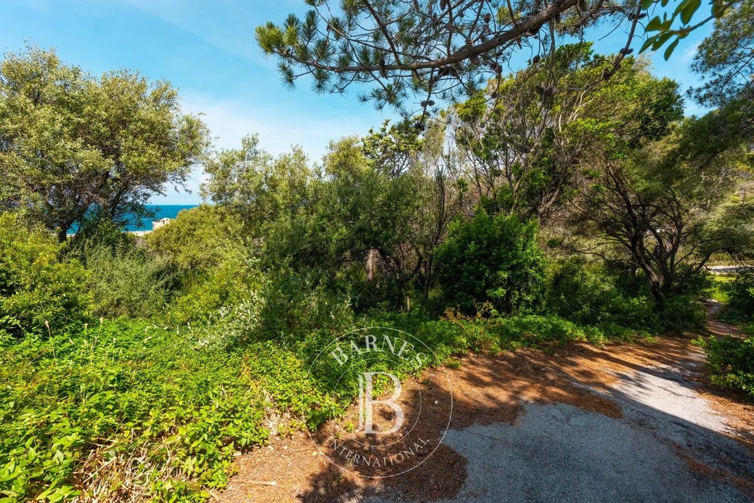 Land in Centuri, Corsica, France 2 - 17863036