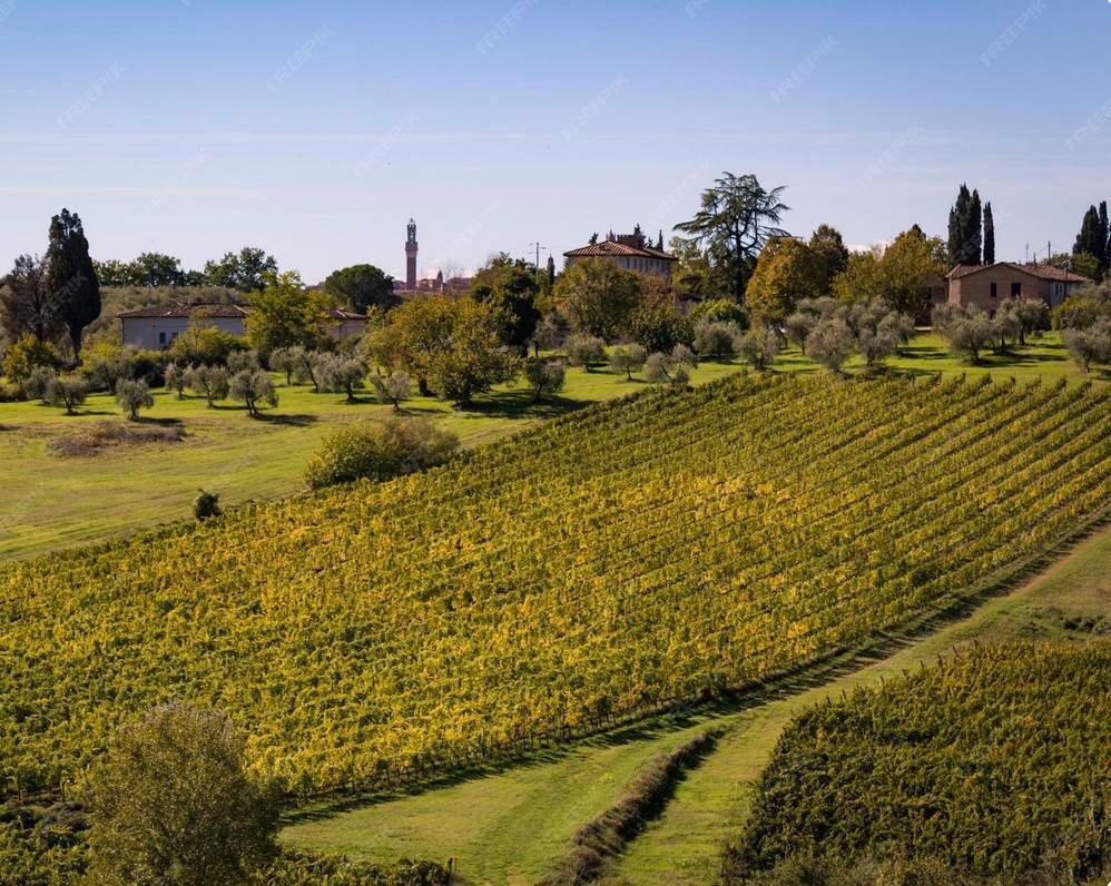 Estate in Gaiole in Chianti, Tuscany, Italy 4 - 18103382