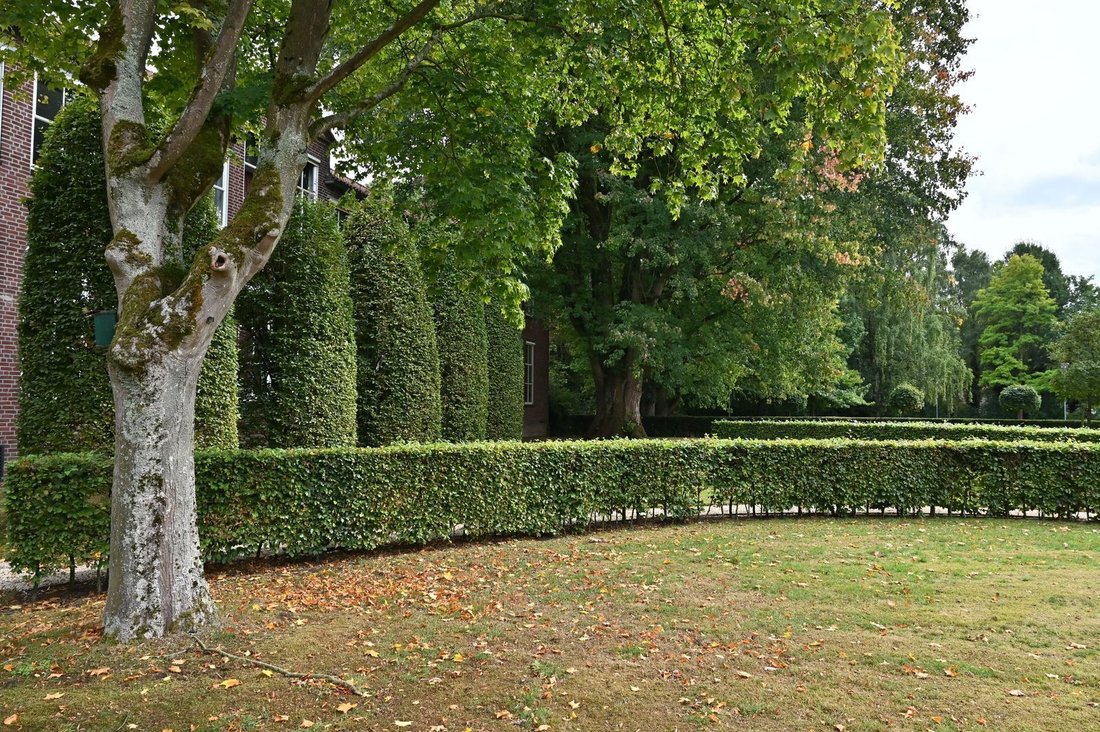 Oosterhout, Netherlands 5 - 18093891