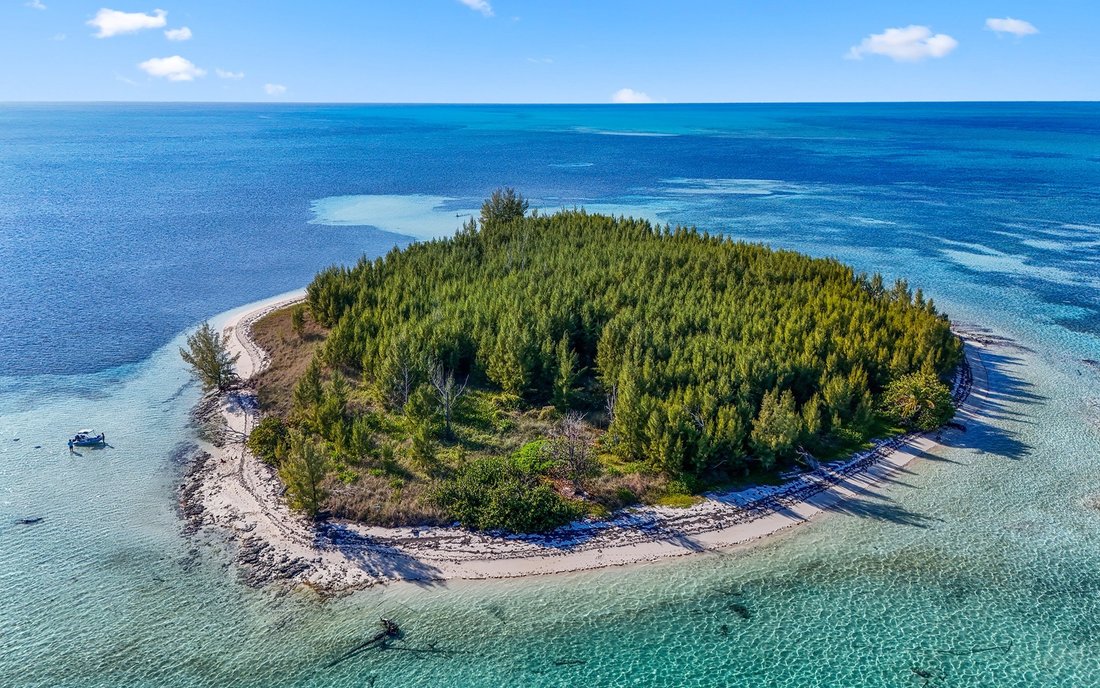 Private Island in West End, Bahamas 3 - 18092565