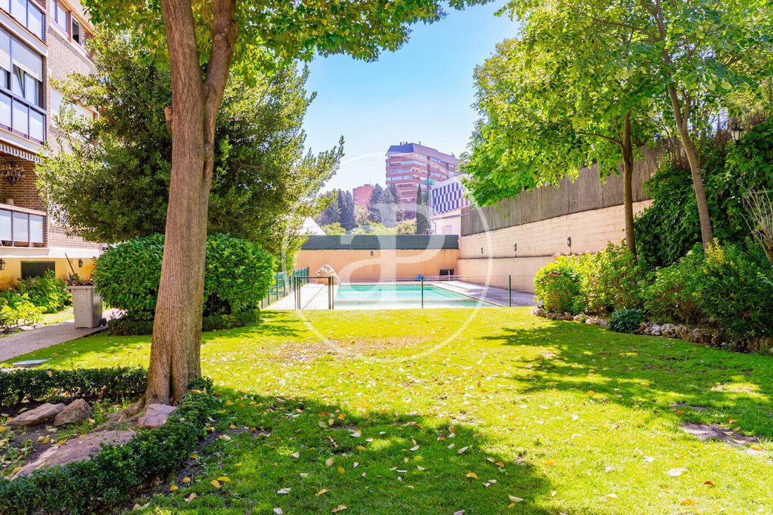 Apartment in Moncloa-Aravaca, Madrid, Spain 5 - 18098738
