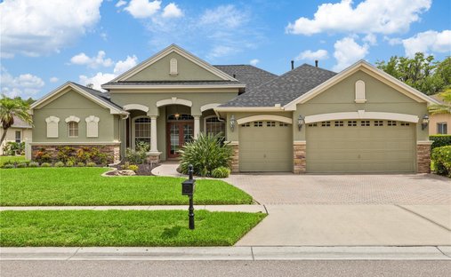 House in Land O' Lakes, Florida, United States 1