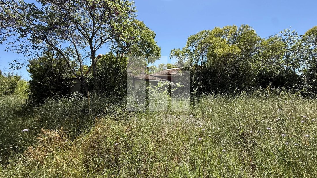 Land in Mougins, Provence-Alpes-Côte d'Azur, France 1 - 18093421