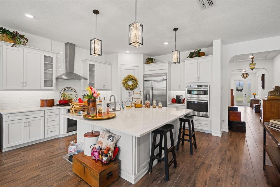 House in Odessa, Florida, United States 3 - 18100745