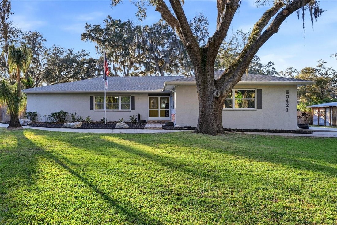 House in Wesley Chapel, Florida, United States 1 - 18100749