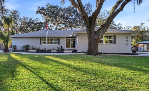 Casa en Wesley Chapel, Florida, Estados Unidos 1