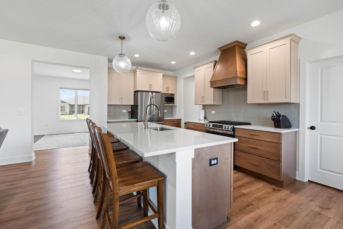 House in New Lenox, Illinois, United States 3 - 18095312