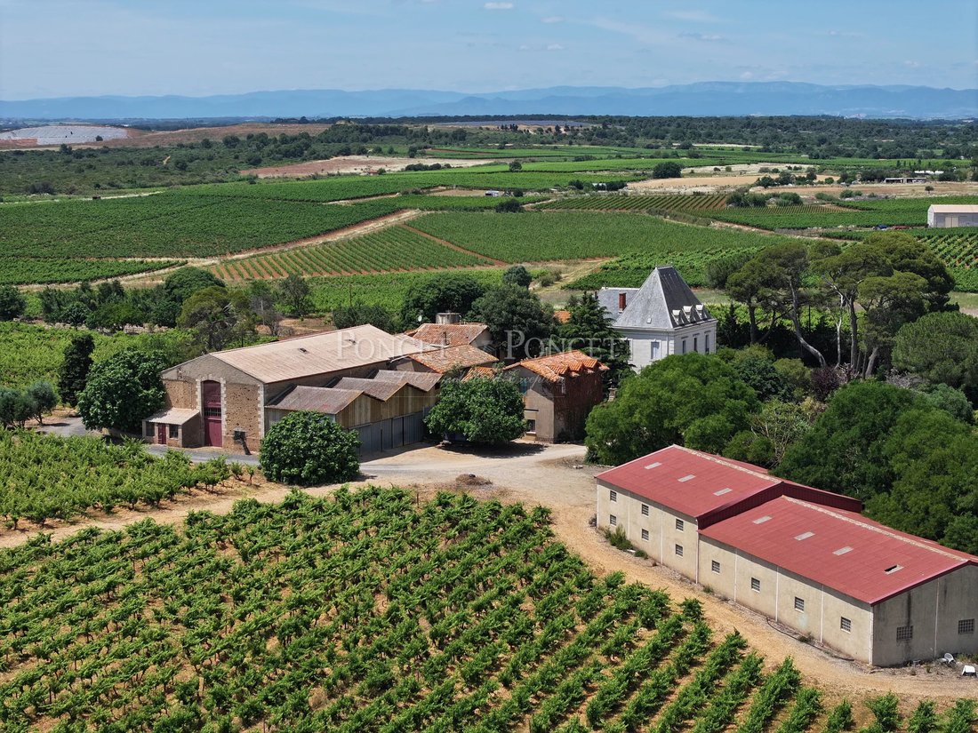 Farm Ranch in Le Grau d'Agde, Agde, France 4 - 17103865