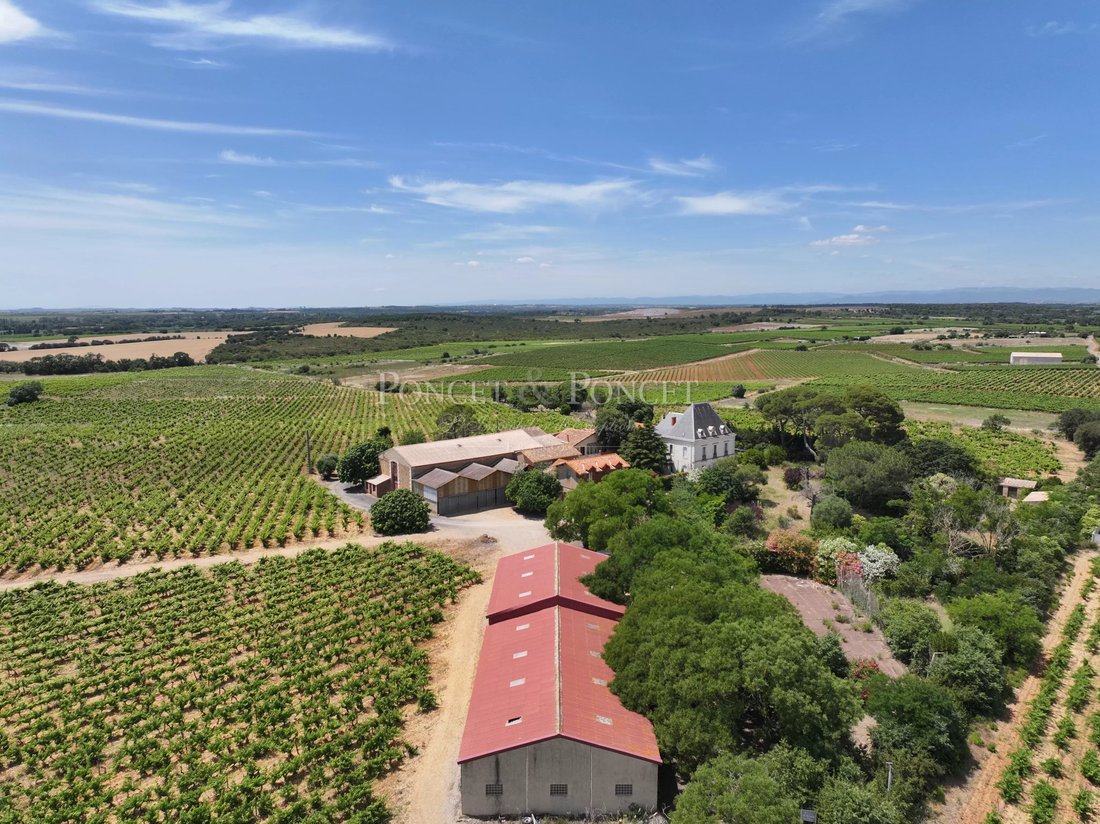 Farm Ranch in Le Grau d'Agde, Agde, France 5 - 17103865