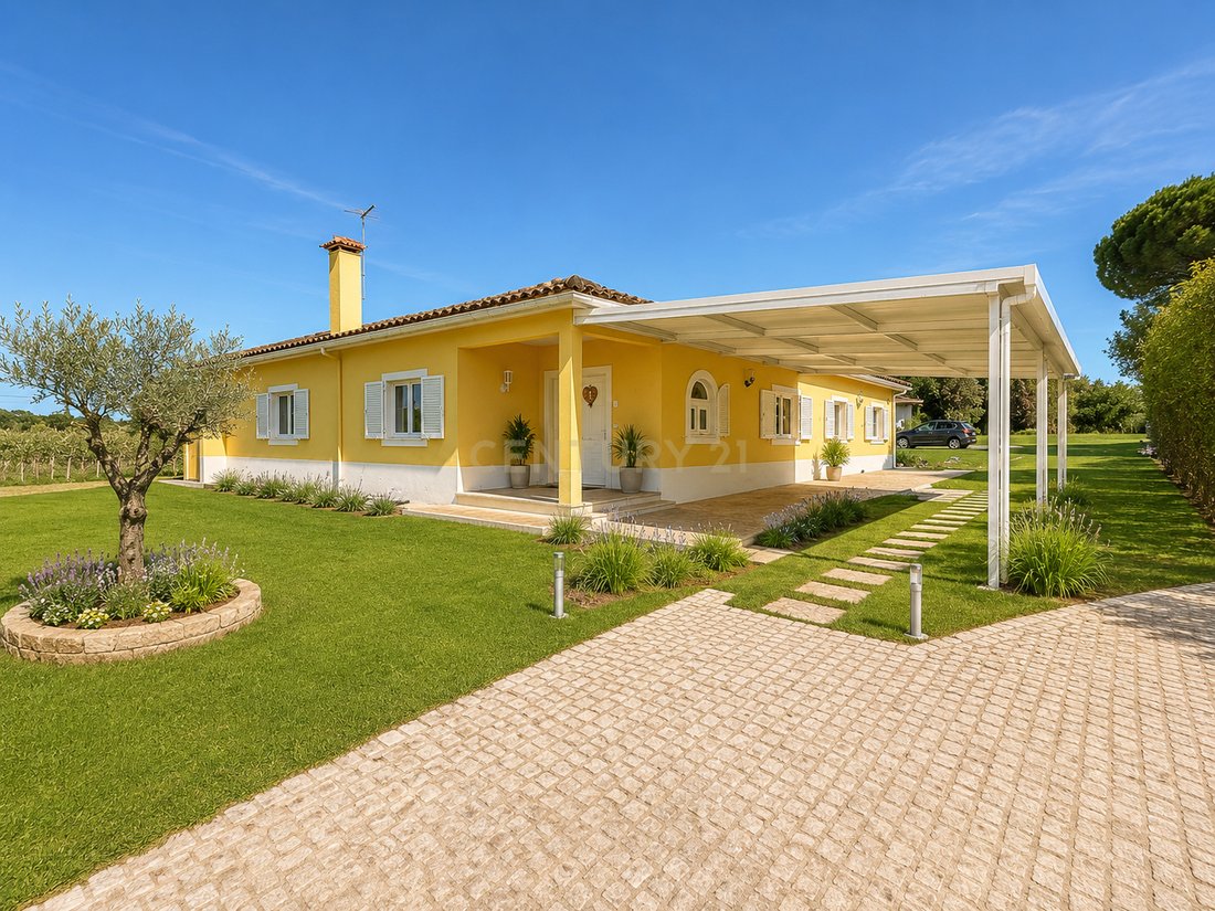 Farm Ranch in Povoa da Isenta, Santarem District, Portugal 4 - 18098963