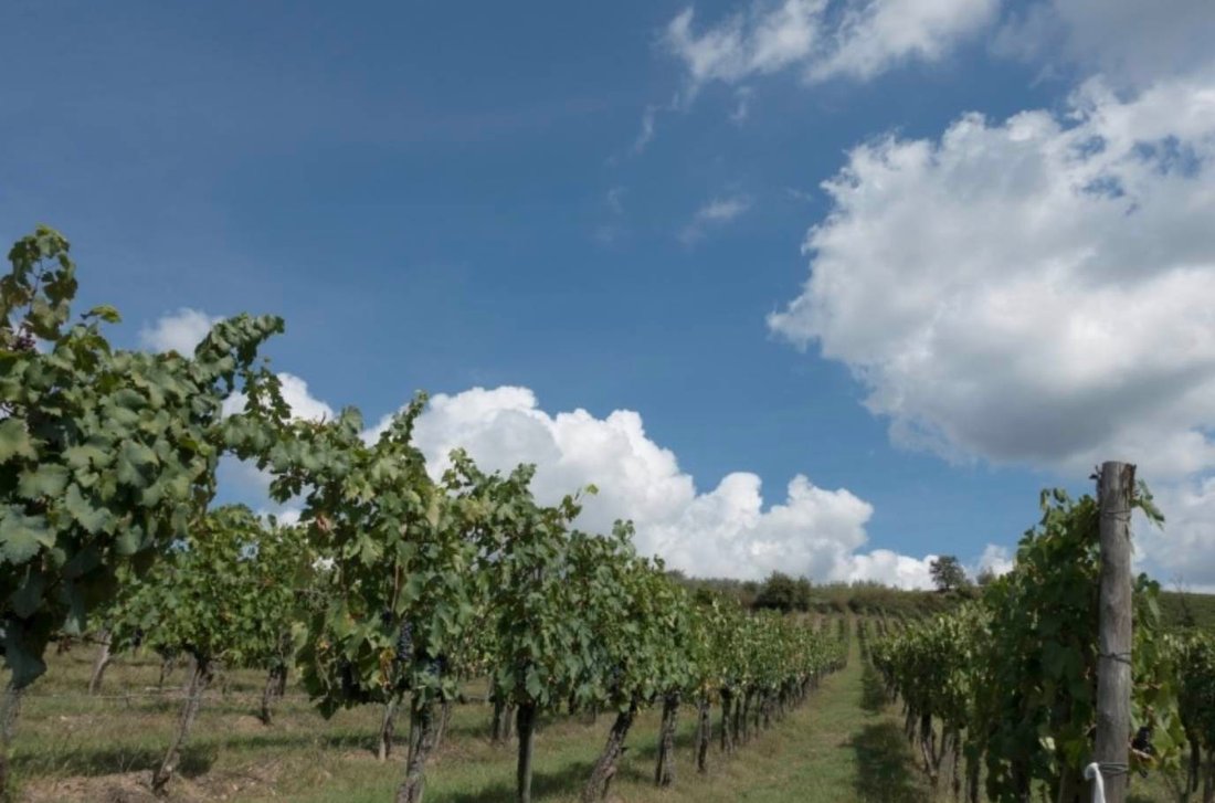 Estate in Center, Greve in Chianti, Tuscany 3 - 16827031