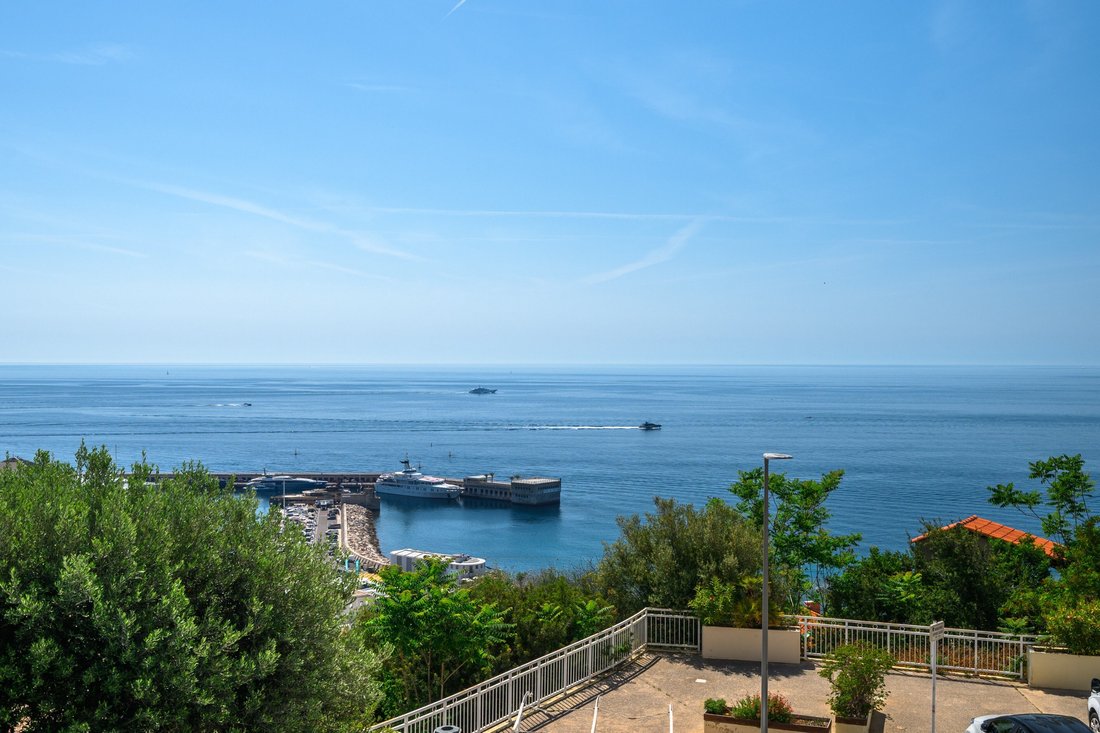 Apartment in Cap-d'Ail, Provence-Alpes-Côte d'Azur, France 1 - 18108046