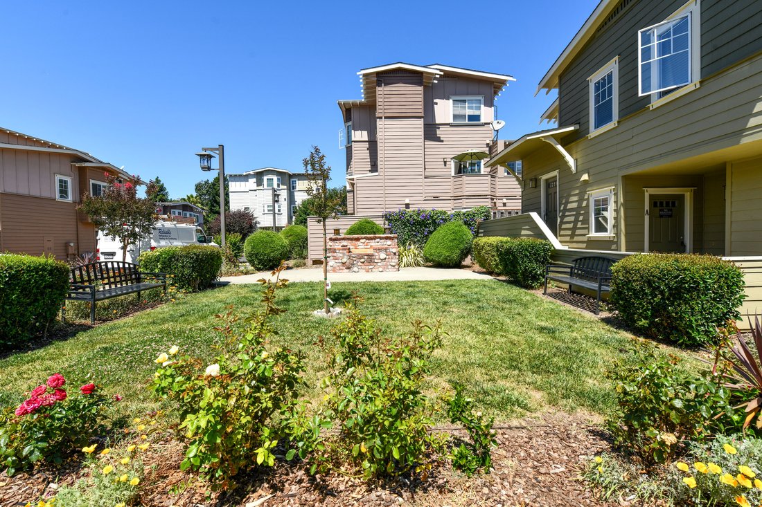 Condo in Napa, California, United States 5 - 18108777