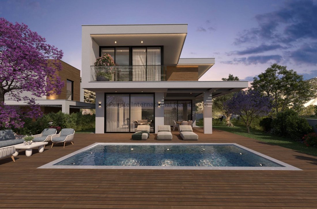 Villa in Mouttagiaka, Limassol, Cyprus 1 - 18109335