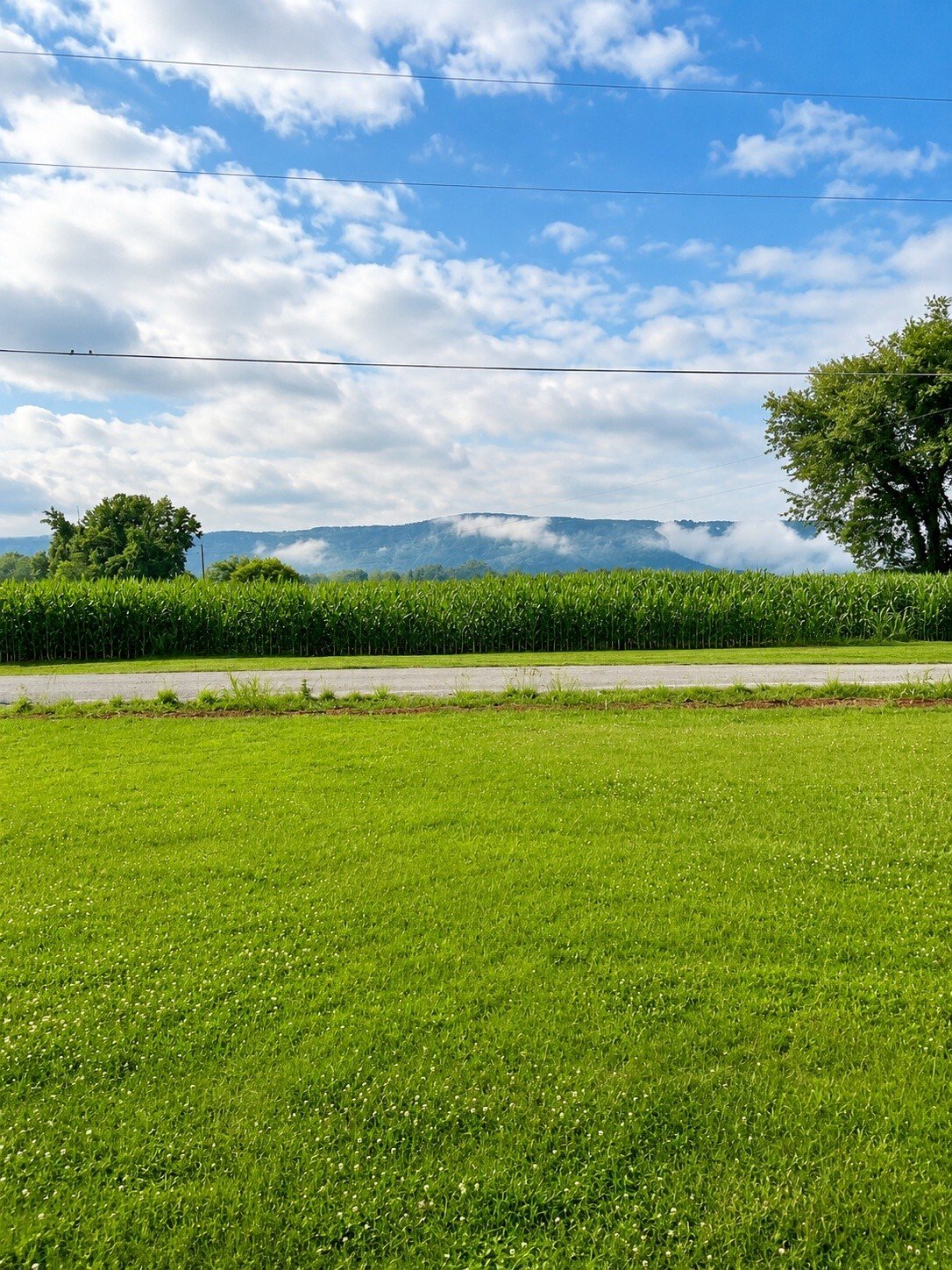House in Estill Springs, Tennessee, United States 3 - 17946176