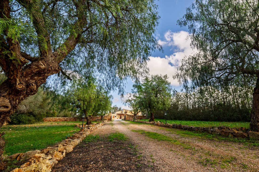 Finca a Sencelles, Isole Baleari, Spagna 3 - 17492490