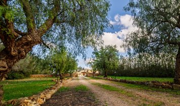 Finca a Sencelles, Isole Baleari, Spagna 2