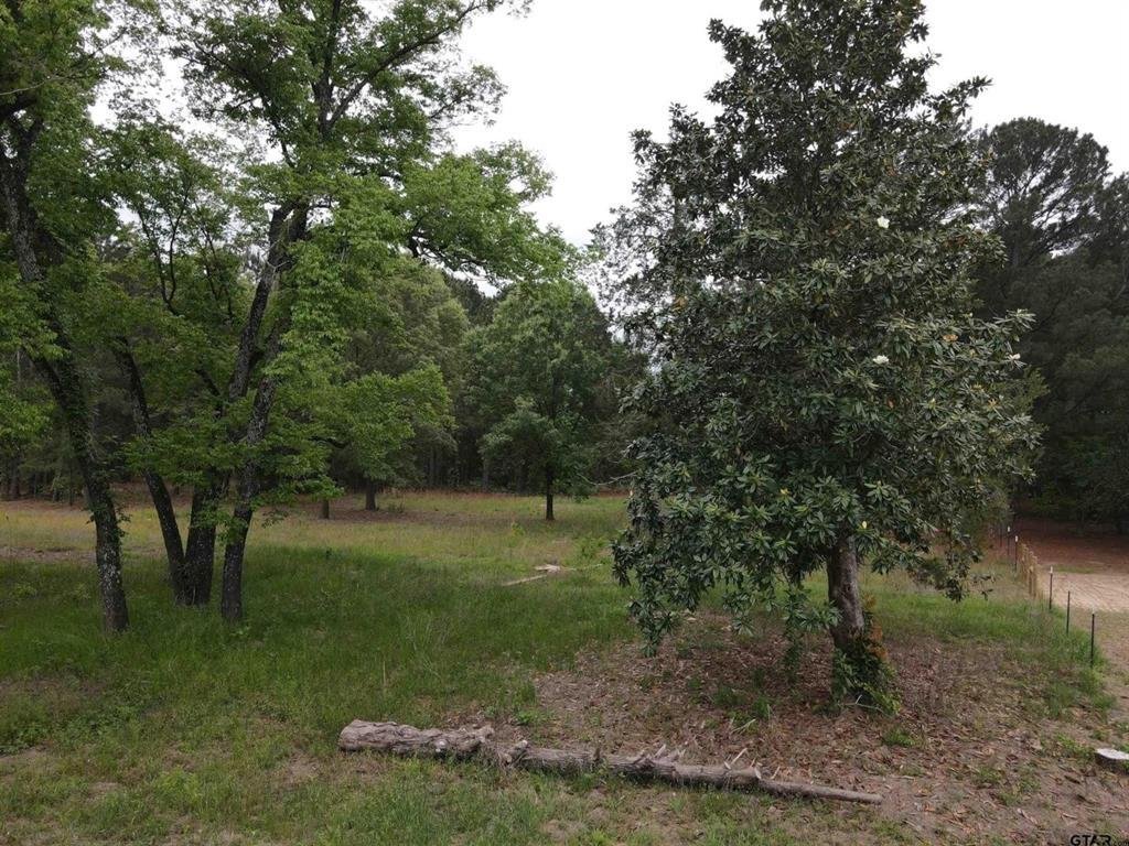 House in Hideaway, Texas, United States 3 - 18109446