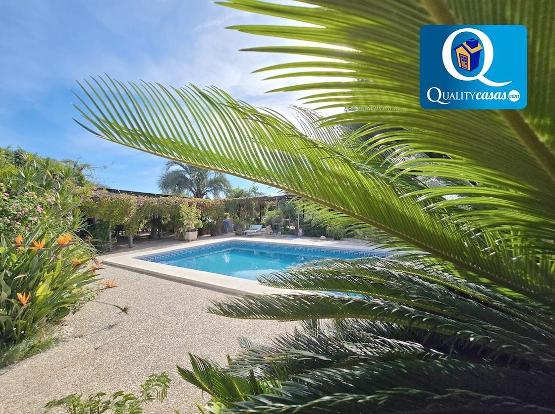 Chalet in Elx / Elche, Valencian Community, Spain 3 - 18109724