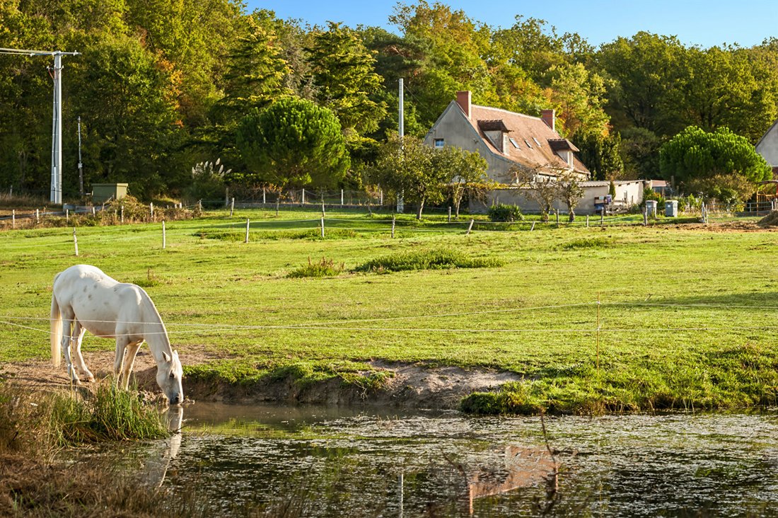 Villa in Faverdines, Centre-Val de Loire, France 5 - 18109412