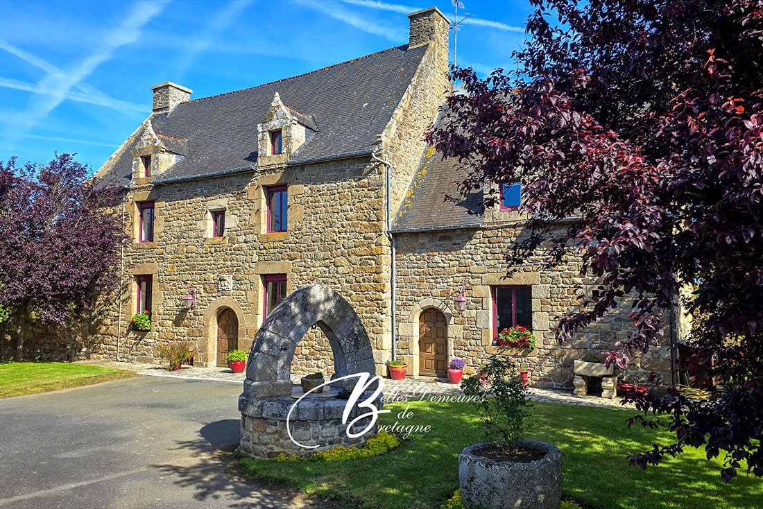 Villa in La Tour d'Auvergne, Saint-Brieuc, France 1 - 18109387