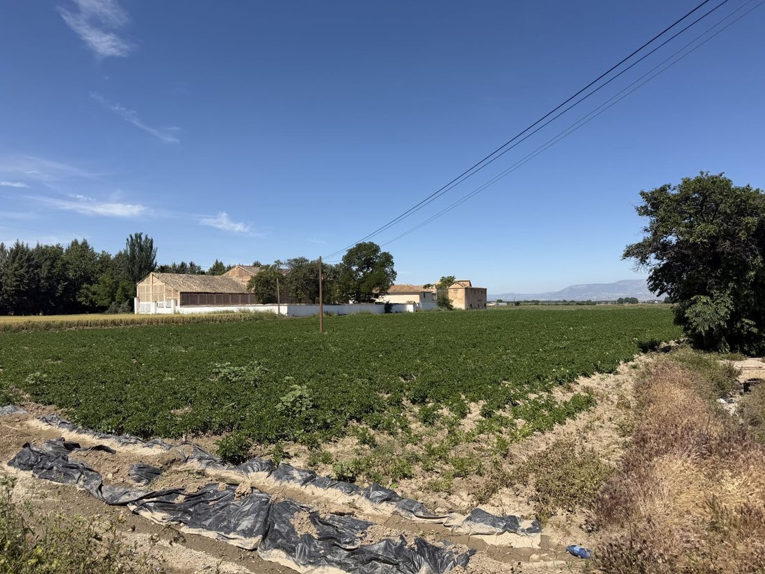 Farm Ranch in Ronda, Granada, Spain 3 - 18109705