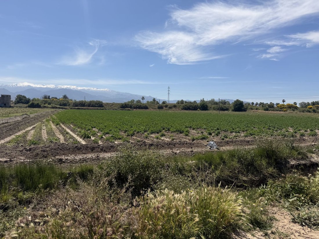Farm Ranch in Ronda, Granada, Spain 5 - 18109705